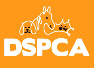 DSPCA